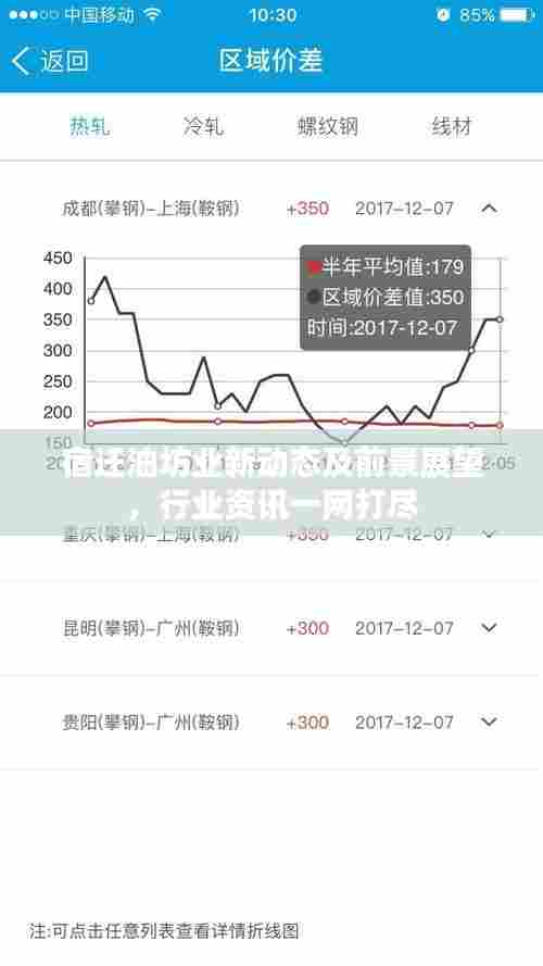 衣无二彩 第4页