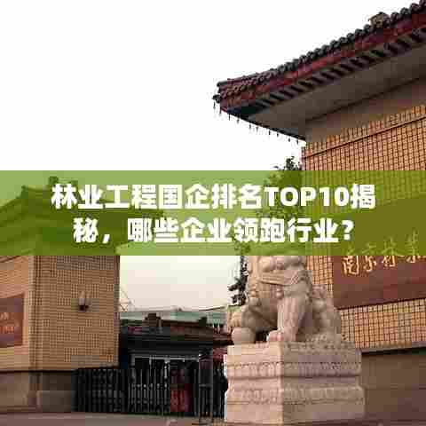 林业工程国企排名TOP10揭秘,哪些企业领跑行业?