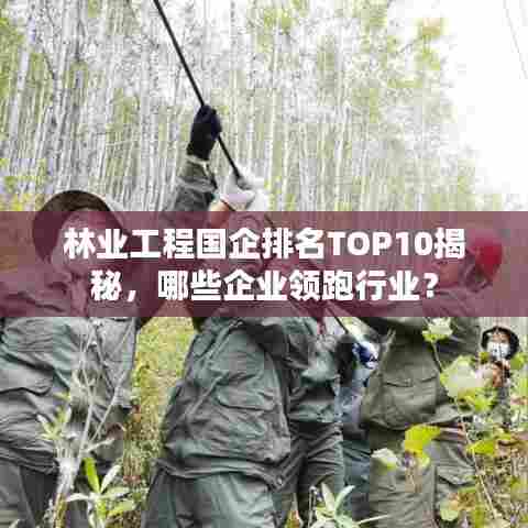 林业工程国企排名TOP10揭秘,哪些企业领跑行业?