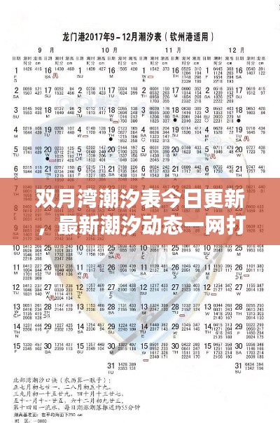 双月湾潮汐表今日更新,最新潮汐动态一网打尽!