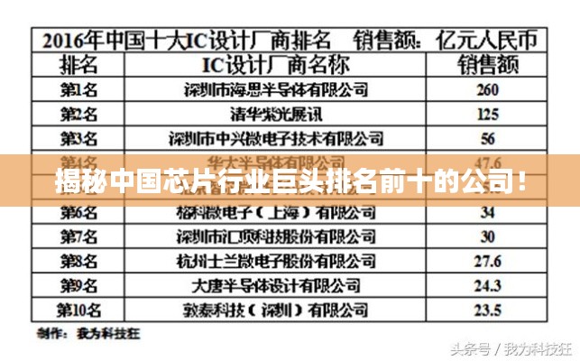 揭秘中国芯片行业巨头排名前十的公司！