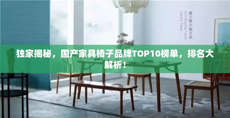 独家揭秘,国产家具椅子品牌TOP10榜单,排名大解析!