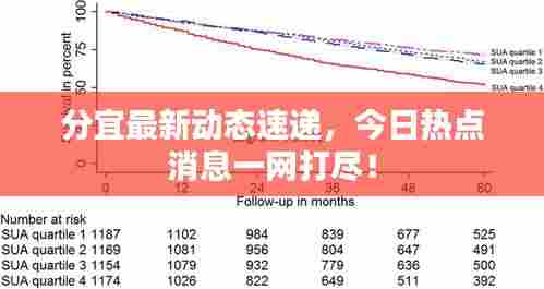 分宜最新动态速递,今日热点消息一网打尽!