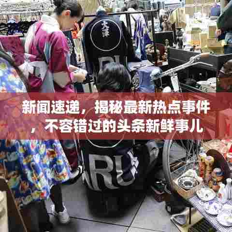 新闻速递,揭秘最新热点事件,不容错过的头条新鲜事儿