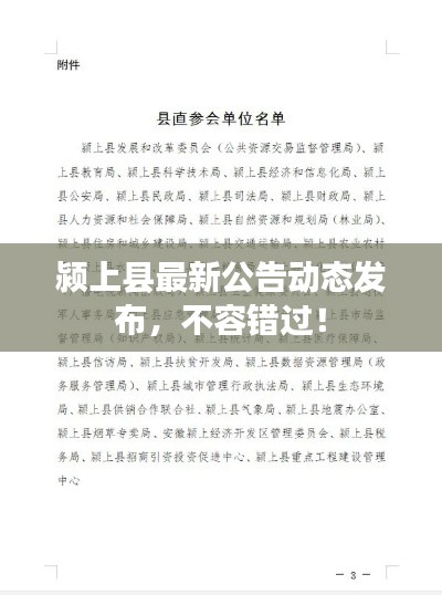 颍上县最新公告动态发布，不容错过！