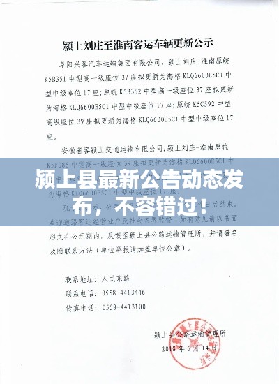 颍上县最新公告动态发布,不容错过!