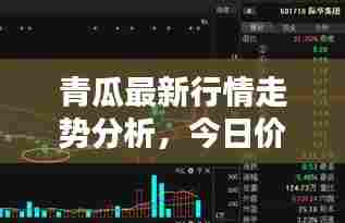 青瓜最新行情走势分析,今日价格揭秘