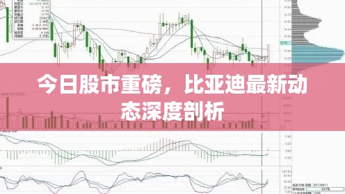 今日股市重磅,比亚迪最新动态深度剖析