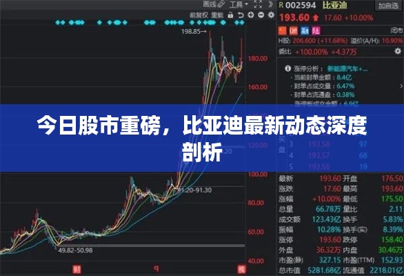 今日股市重磅,比亚迪最新动态深度剖析
