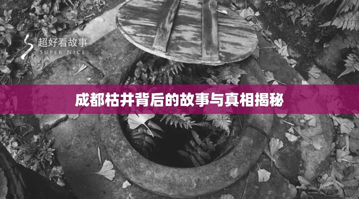 成都枯井背后的故事与真相揭秘