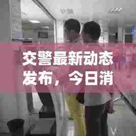 交警最新动态发布，今日消息一网打尽