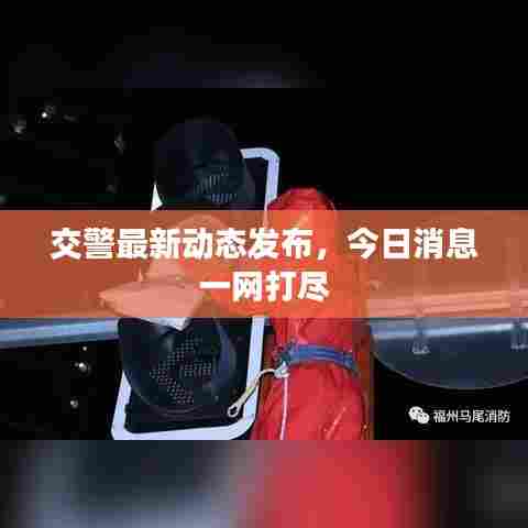 交警最新动态发布,今日消息一网打尽