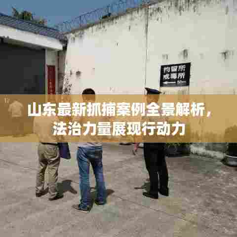山东最新抓捕案例全景解析，法治力量展现行动力