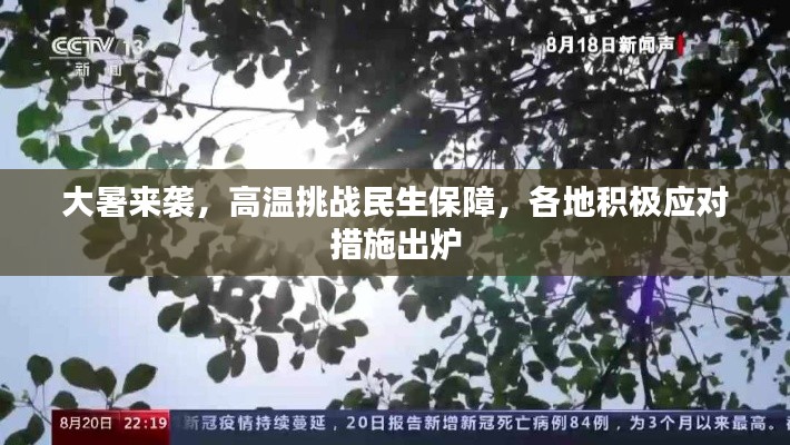 大暑来袭,高温挑战民生保障,各地积极应对措施出炉