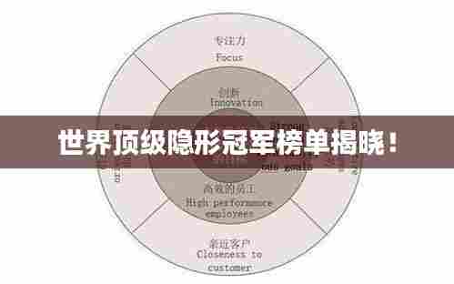 世界顶级隐形冠军榜单揭晓!