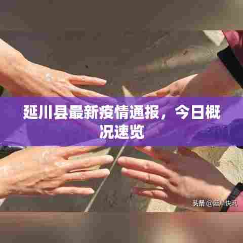 延川县最新疫情通报,今日概况速览