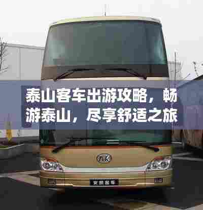 泰山客车出游攻略,畅游泰山,尽享舒适之旅!
