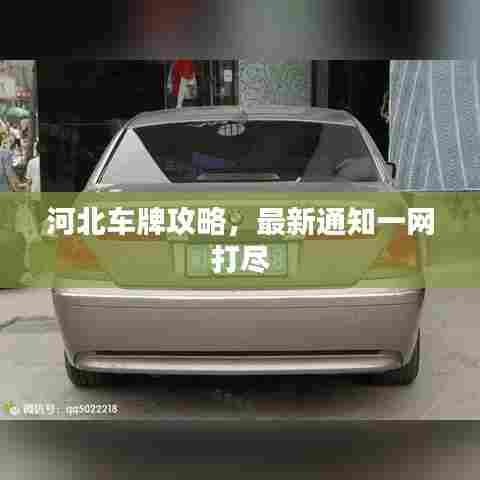 河北车牌攻略,最新通知一网打尽