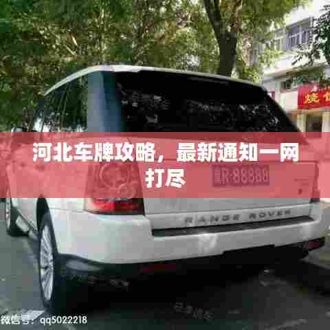 河北车牌攻略,最新通知一网打尽