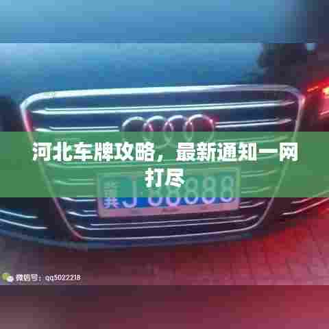 河北车牌攻略,最新通知一网打尽