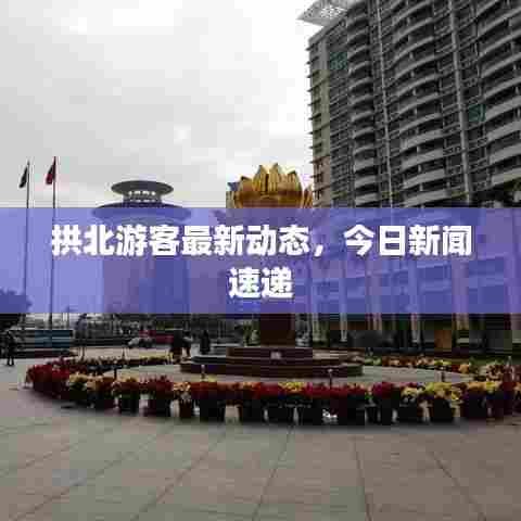 拱北游客最新动态，今日新闻速递