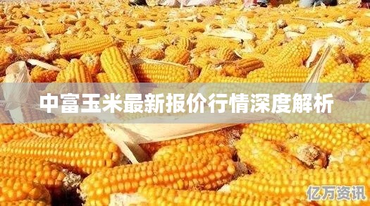 中富玉米最新报价行情深度解析