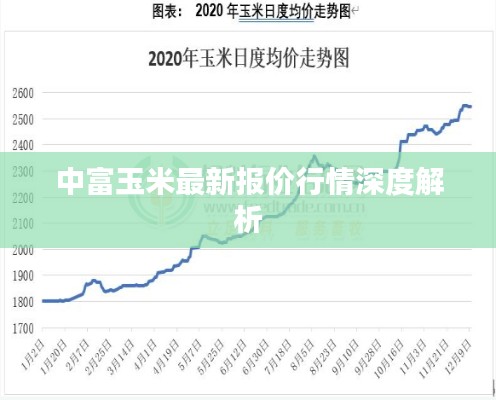 中富玉米最新报价行情深度解析
