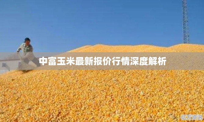 中富玉米最新报价行情深度解析