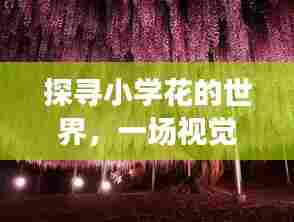 探寻小学花的世界,一场视觉盛宴,百度收录带你领略奇妙之旅!