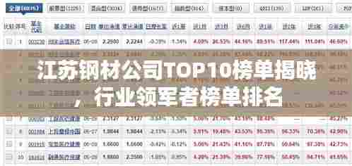 江苏钢材公司TOP10榜单揭晓,行业领军者榜单排名