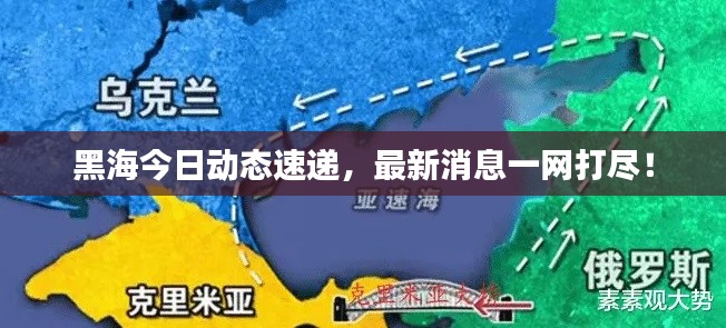 黑海今日动态速递，最新消息一网打尽！