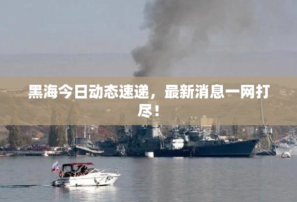 黑海今日动态速递,最新消息一网打尽!