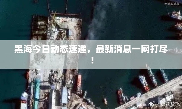 黑海今日动态速递,最新消息一网打尽!