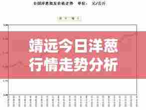 靖远今日洋葱行情走势分析,最新价格解析