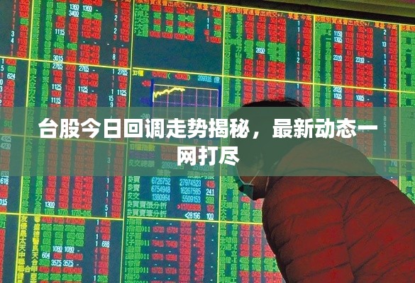 台股今日回调走势揭秘,最新动态一网打尽