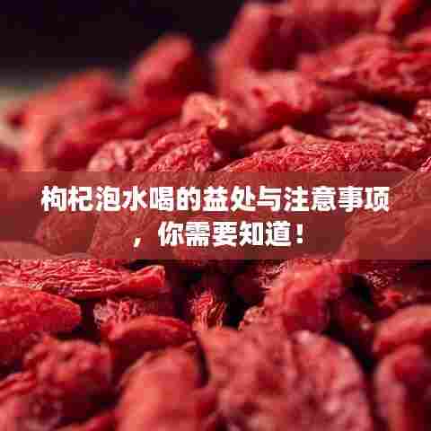 枸杞泡水喝的益处与注意事项，你需要知道！