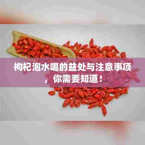 枸杞泡水喝的益处与注意事项,你需要知道!