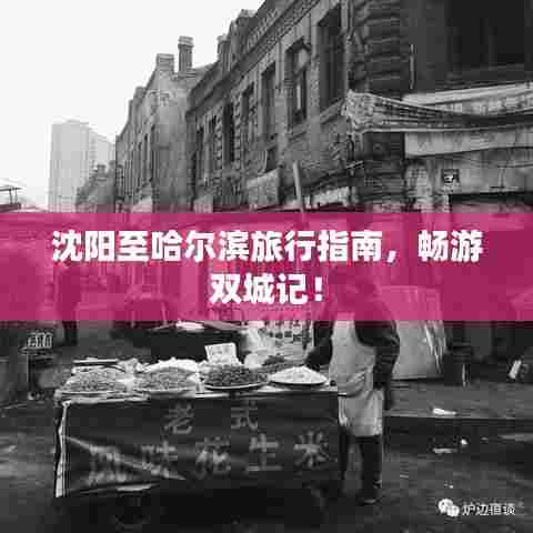 沈阳至哈尔滨旅行指南,畅游双城记!