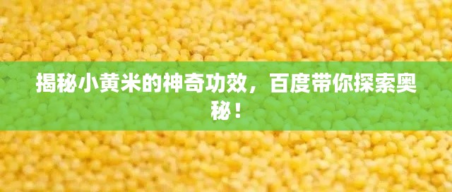 揭秘小黄米的神奇功效，百度带你探索奥秘！