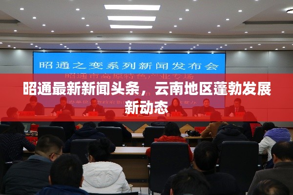 昭通最新新闻头条，云南地区蓬勃发展新动态