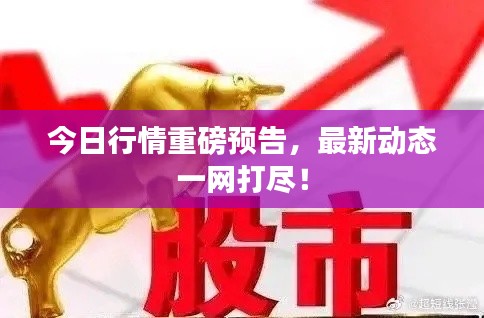 今日行情重磅预告,最新动态一网打尽!