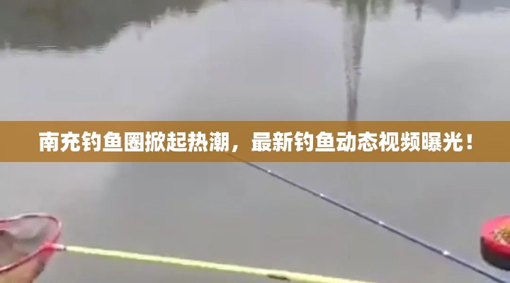 南充钓鱼圈掀起热潮,最新钓鱼动态视频曝光!
