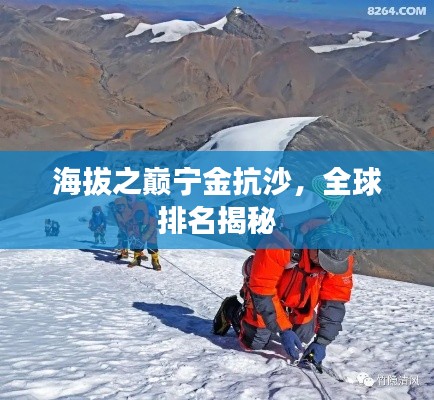 海拔之巅宁金抗沙,全球排名揭秘