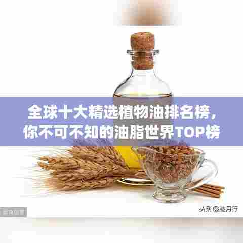 鸟栖虫居 第4页