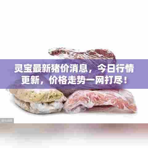 灵宝最新猪价消息，今日行情更新，价格走势一网打尽！