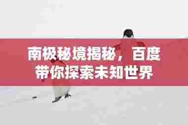 南极秘境揭秘，百度带你探索未知世界