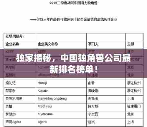 金石为开 第4页