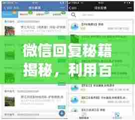 微信回复秘籍揭秘,利用百度搜索智能回复高效沟通之道