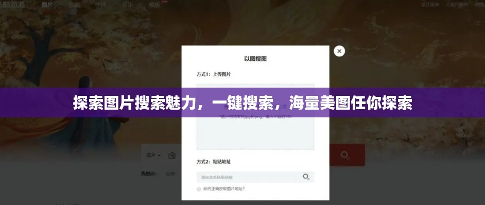 探索图片搜索魅力，一键搜索，海量美图任你探索