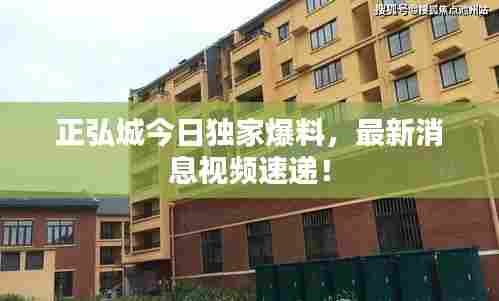 正弘城今日独家爆料,最新消息视频速递!
